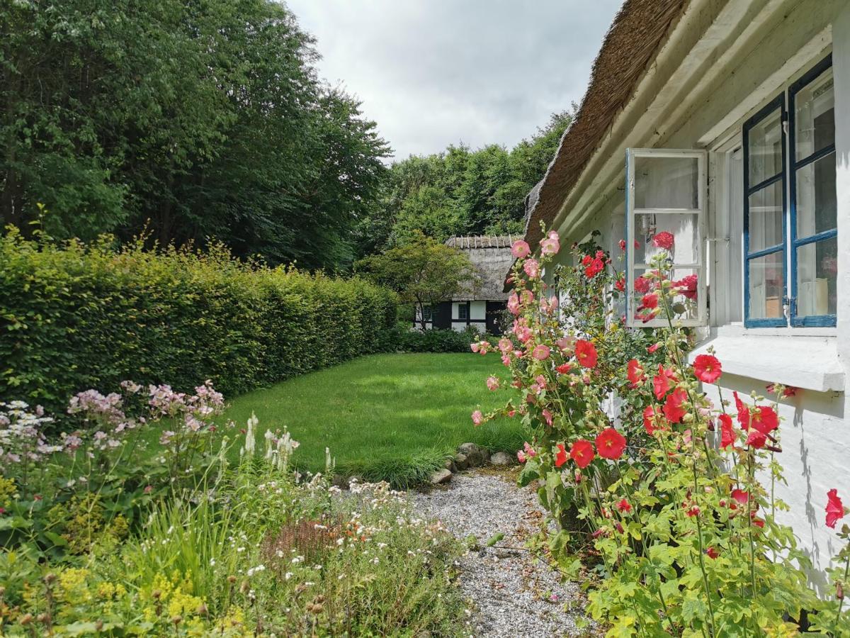 Plantepressen B&B Фоборг Экстерьер фото