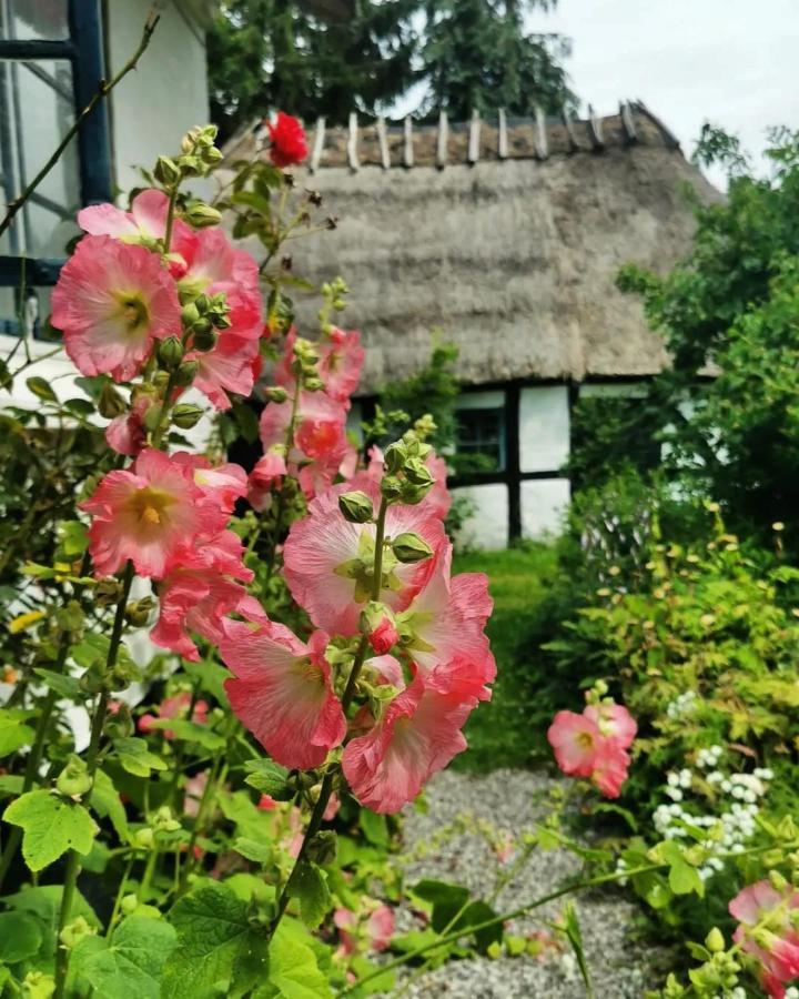 Plantepressen B&B Фоборг Экстерьер фото